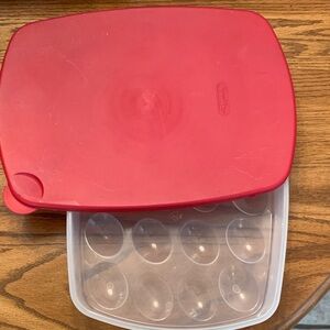 Sreriltie egg container.  Holds 20 eggs
